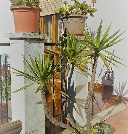 Casa Vacanze E Affittacamere Isola Di SantʼAntìoco